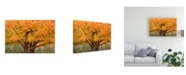 Trademark Global Monte Nagler Maple Tree in Autumn Big Bay Michigan Color Canvas Art - 37" x 49"
